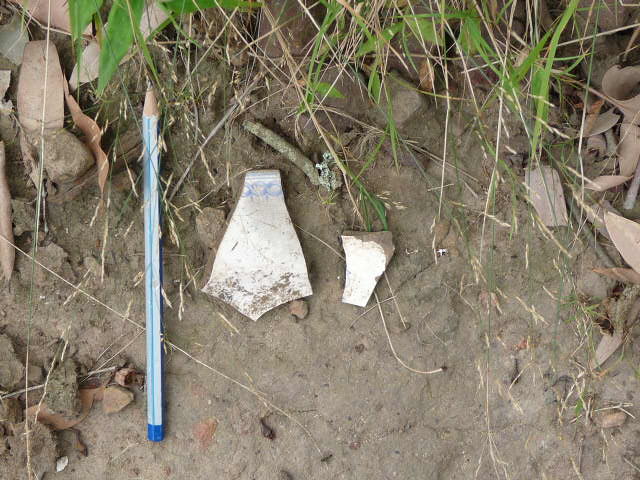 Crockery shards found on hill side at Sackville Reserve